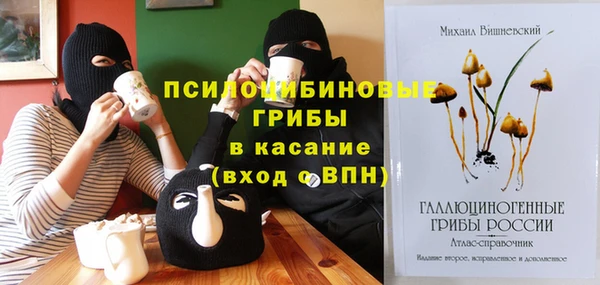 стаф Пересвет