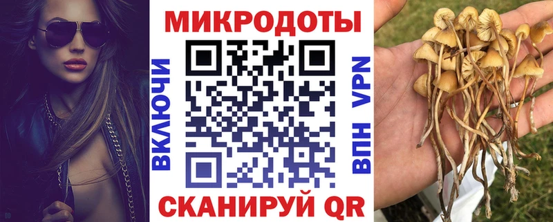 Псилоцибиновые грибы Psilocybine cubensis  как найти закладки  Сосенский 